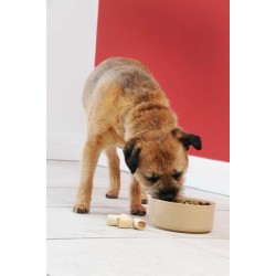 Miska dla psa na karmę - wodę śr. 20 cm Mason Cash Petware Cane
