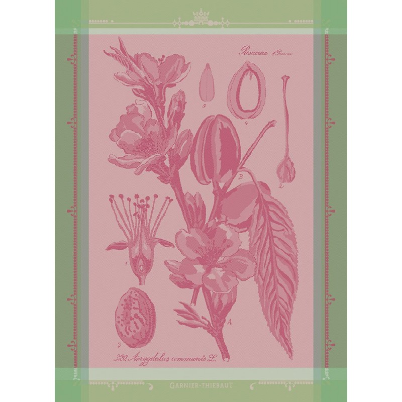 Ręcznik Kuchenny Fleurs D Amandier Rose 56x77 cm