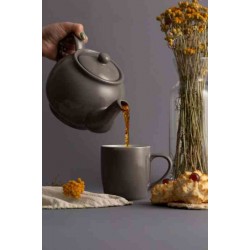 Czajniczek poj. 1100 ml herbata zioła Price&Kensington szary