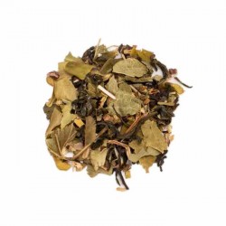 Herbata zielona + dodatki 80g TERRE D'OC Wellness